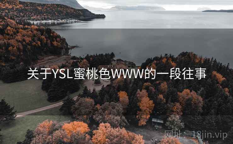 关于YSL蜜桃色WWW的一段往事