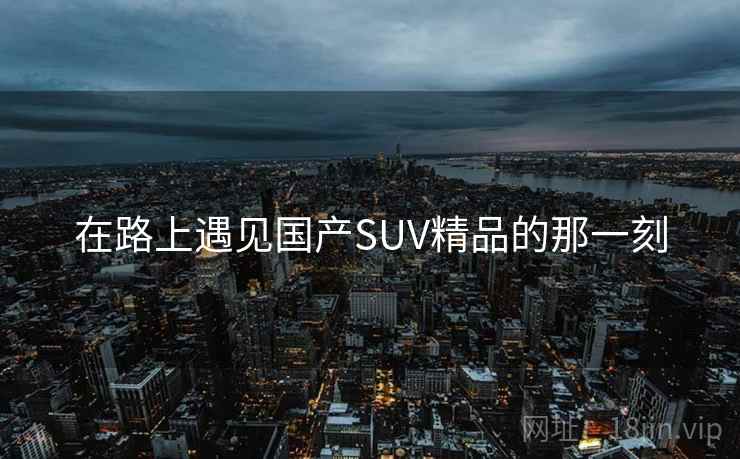 在路上遇见国产SUV精品的那一刻