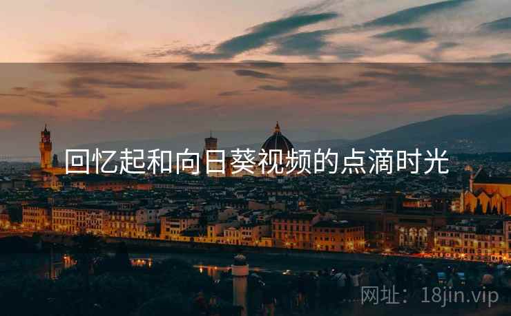 回忆起和向日葵视频的点滴时光