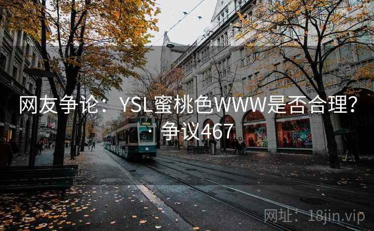 网友争论：YSL蜜桃色WWW是否合理？ · 争议467